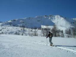 081124_A_siamo in 37.JPG